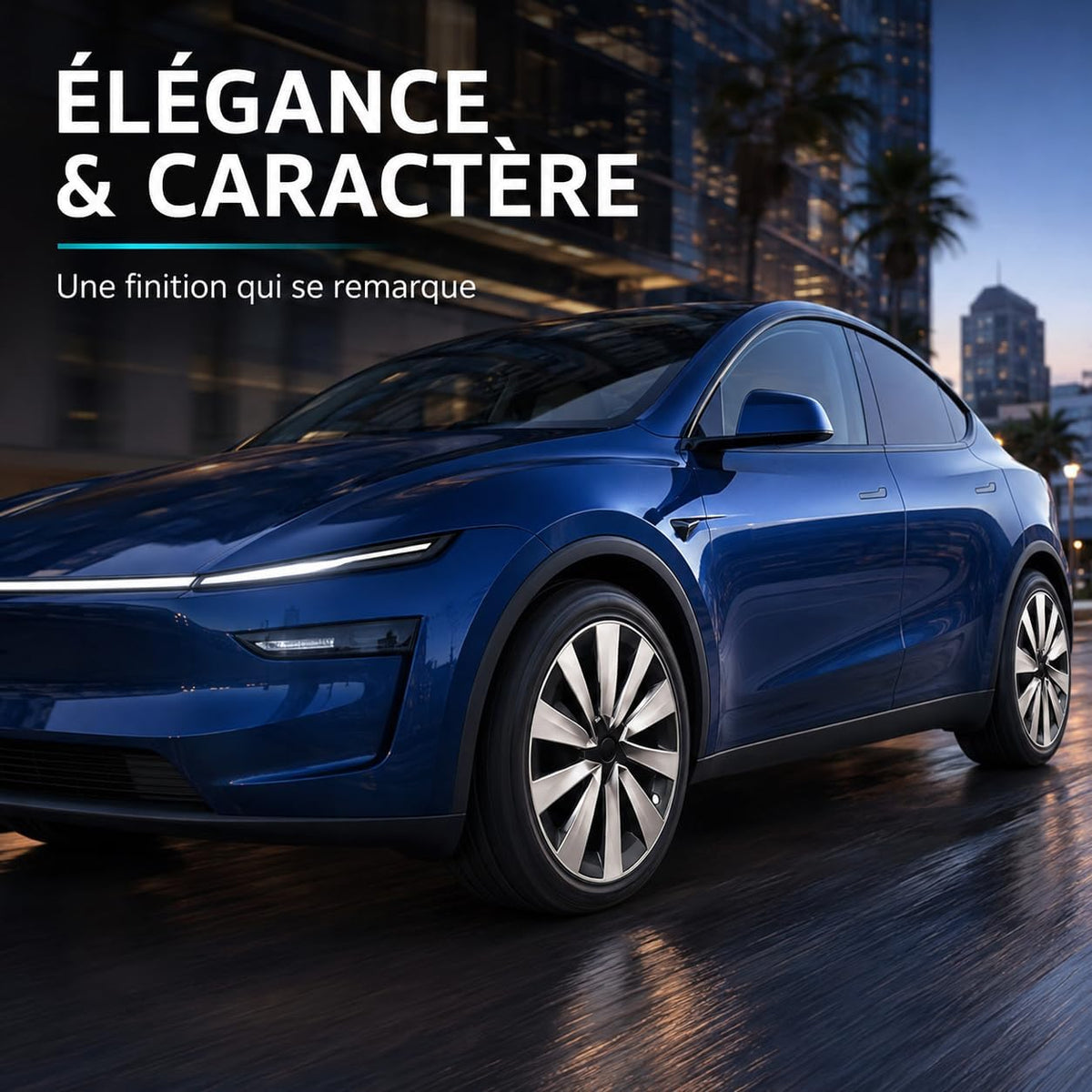 Enjoliveurs 19 pouces Tesla Model Y Juniper - Entretien facile